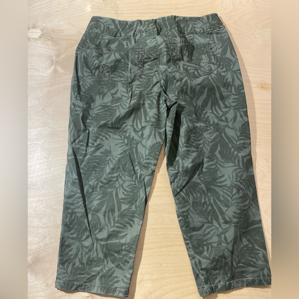 Style & Co Green Leaf Print Capris 16 (MY) - Picture 8 of 8